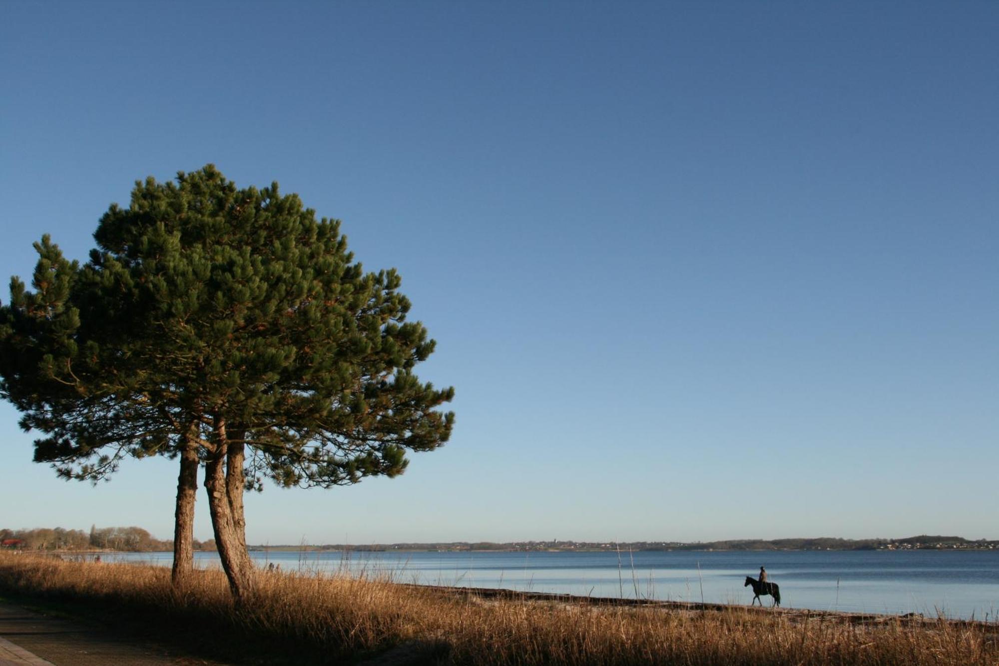 Ostsee-Strandhaus-Holnis Gluecksburg Exterior photo